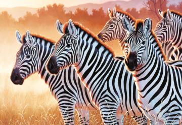 Trefl Puzzle Zebras 1500 Parça Puzzle