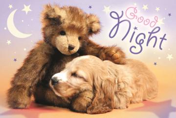 Trefl Puzzle Good Night 60 Parça Yapboz