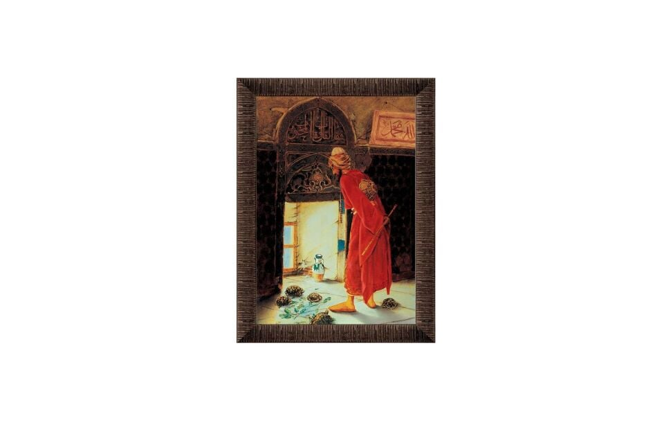 Art Puzzle Kaplumbağa Terbiyecisi  1000 Parça Çerçeveli Puzzle