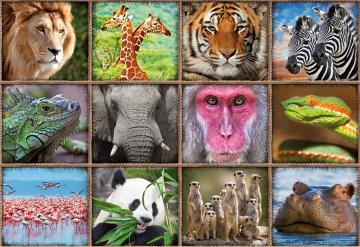 Educa Puzzle Wild Animals Collage 1000 Parça Puzzle