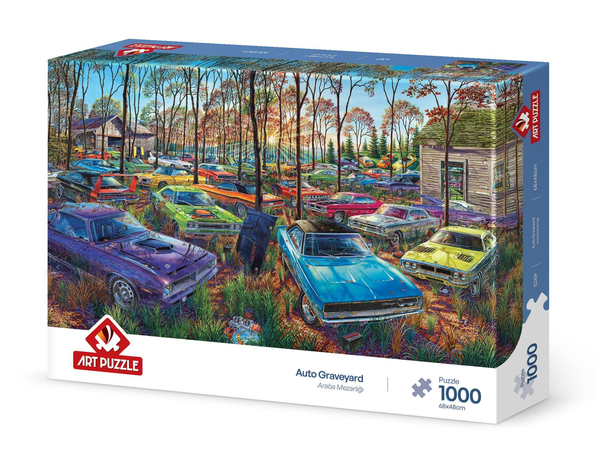 Art Puzzle Araba Mezarlığı 1000 Parça Puzzle - Puzzlesepeti