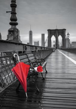 Educa Puzzle Red Umbrella, Brooklyn Bridge ''Coloured Black & White'' 1000 Parça Puzzle