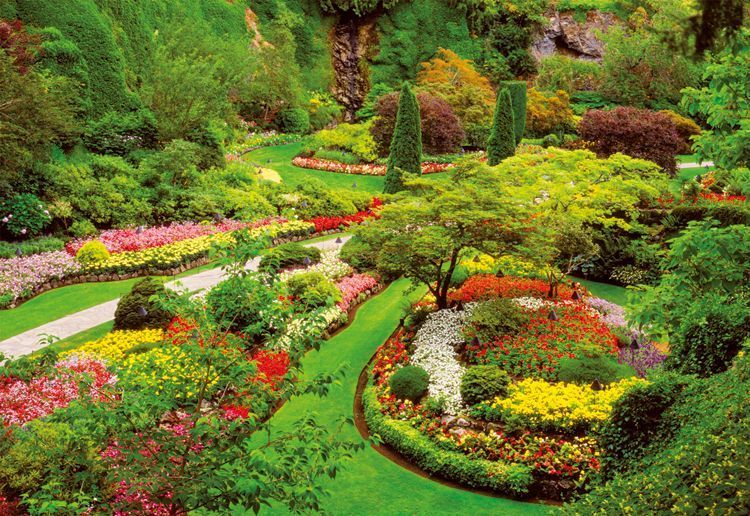Educa Puzzle Butchart Gardens, Canada 1000 Parça Puzzle