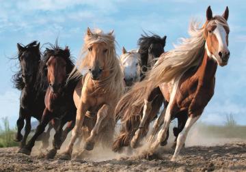 Trefl Puzzle Galloping Horses 1000 Parça Puzzle