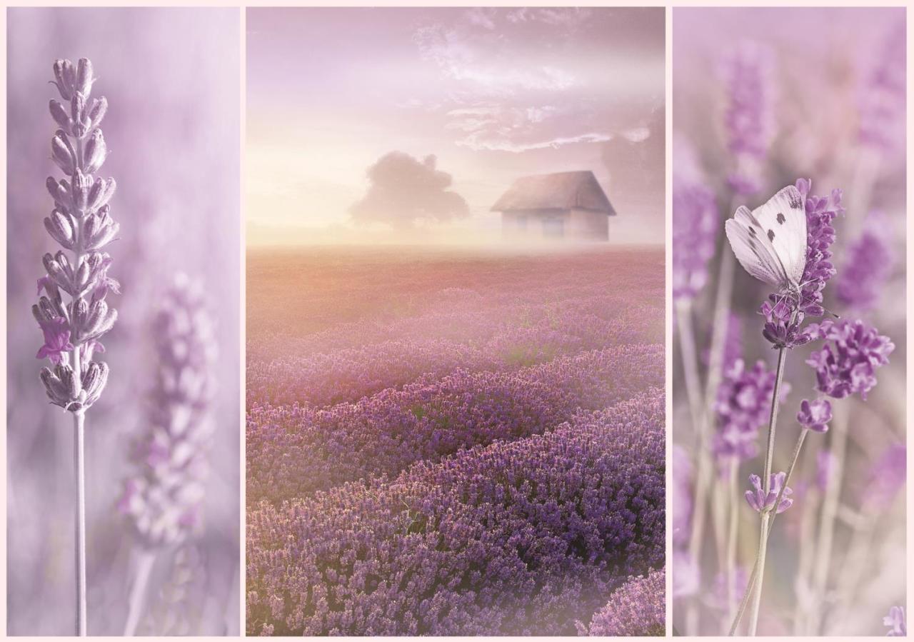 Trefl Puzzle Romantic Lavender Fields 1000 Parça Puzzle