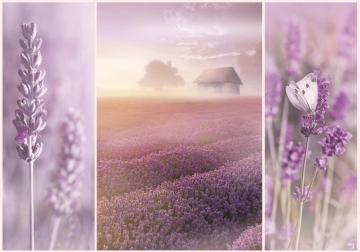 Trefl Puzzle Romantic Lavender Fields 1000 Parça Puzzle