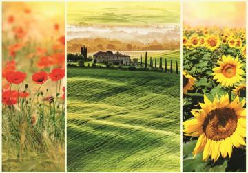 Trefl Puzzle Romantic Sunny Tuscany 1000 Parça Puzzle