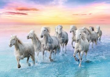 Trefl Puzzle Galloping White Horses 500 Parça Puzzle