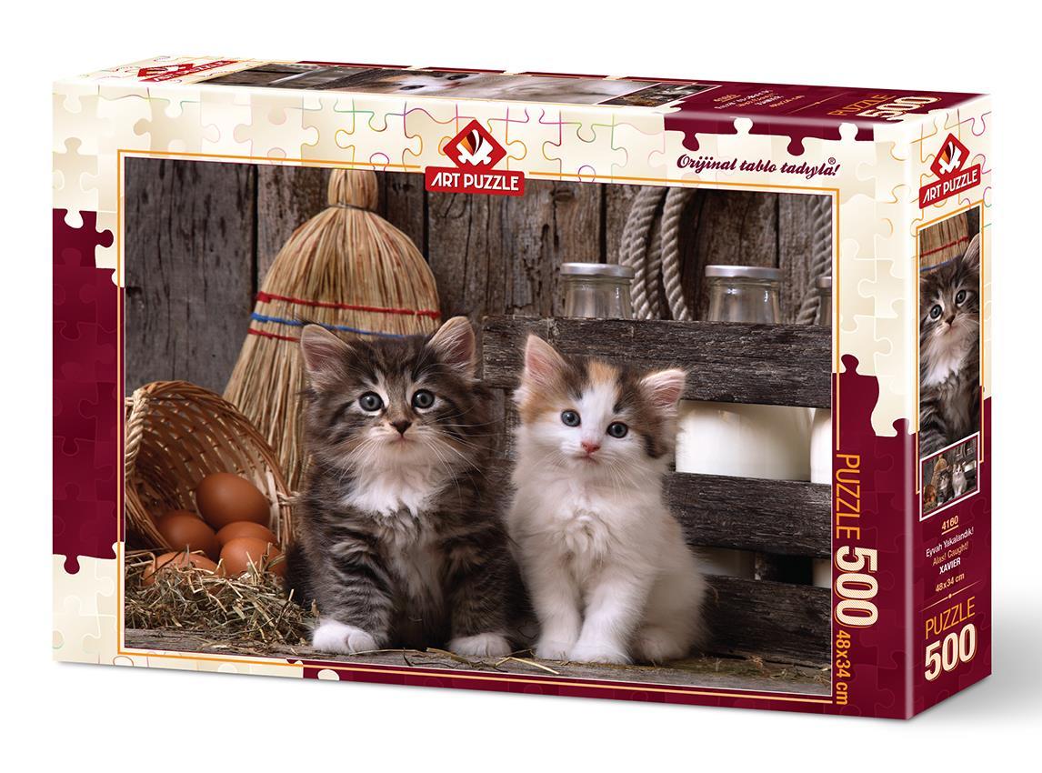 Art Puzzle Eyvah Yakalandık 500 Parça Puzzle