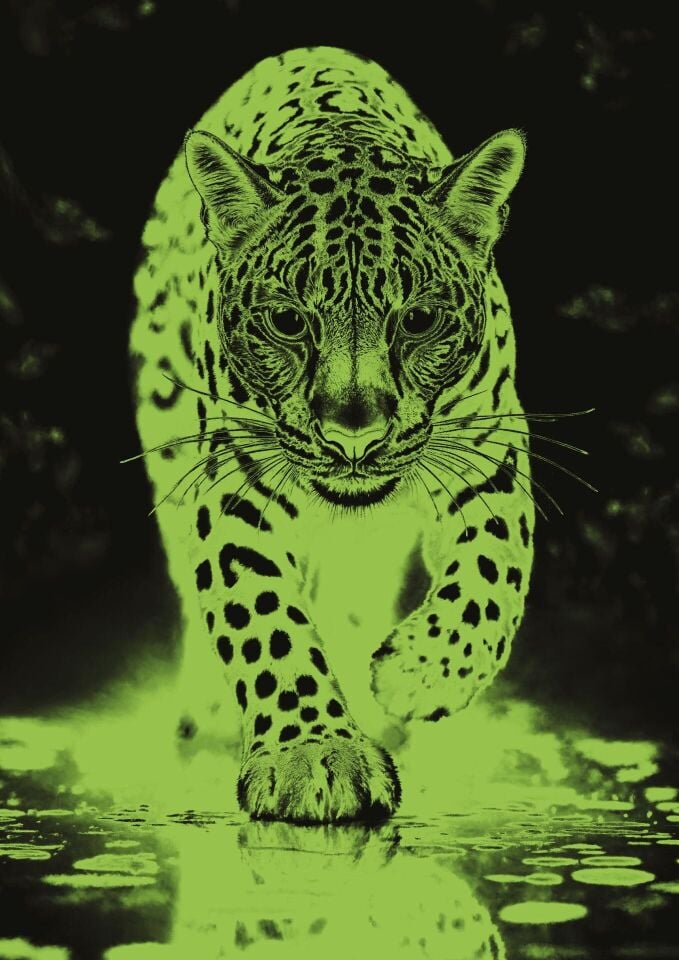 Art Puzzle Mavi Jaguar 1000 Parça Neon Puzzle