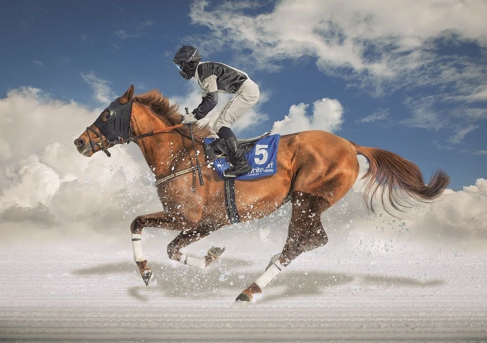 Educa Puzzle White Turf Final 1500 Parça Puzzle