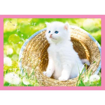 Trefl Puzzle Fun Cats 4 in 1 Çocuk Puzzle (35+48+54+70 Parça)