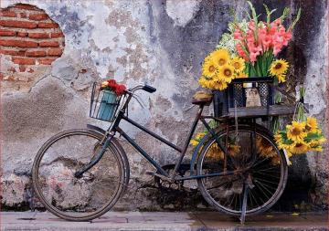Educa Puzzle Bıcycle Wıth Flowers 500 Parça Puzzle