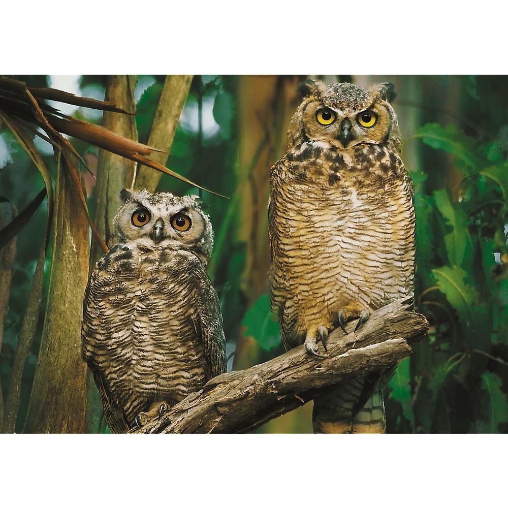 Trefl Puzzle Owls 1000 Parça Puzzle