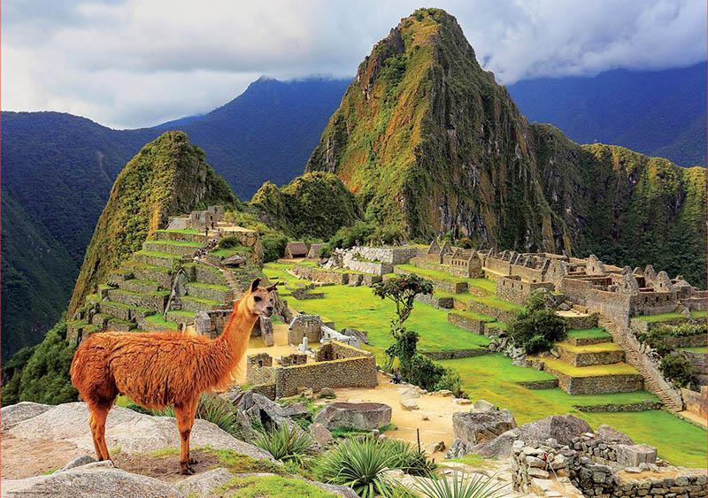 Educa Puzzle Machu Pıcchu, Peru 1000 Parça Puzzle