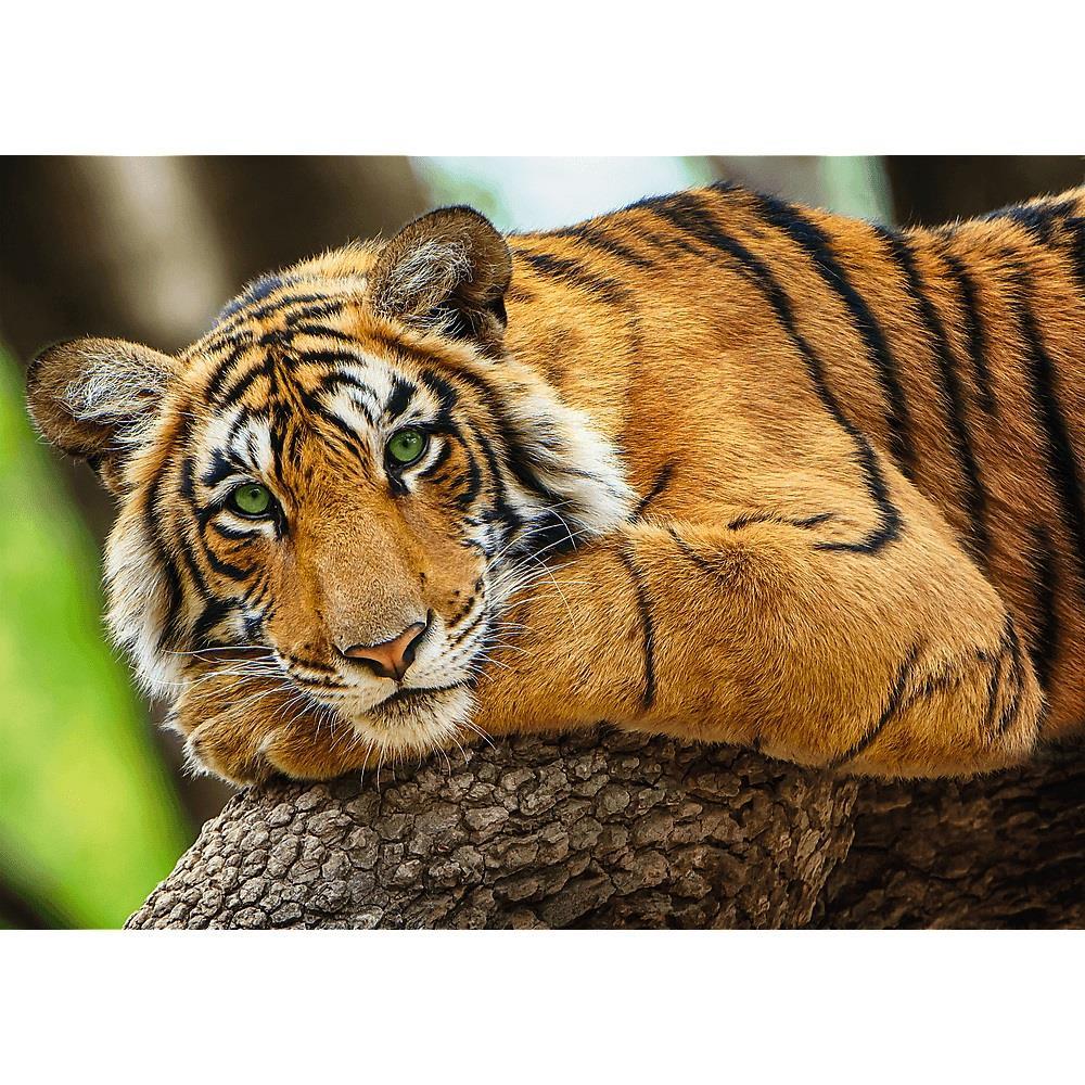 Trefl Puzzle Tıger Portraıt 500 Parça Puzzle