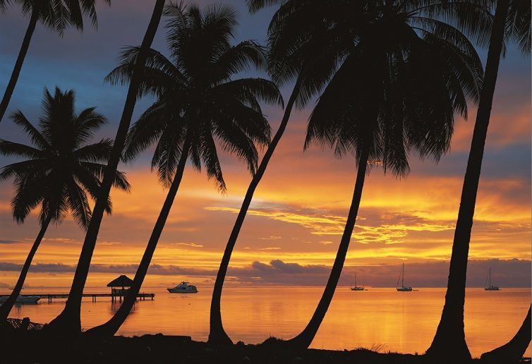 Educa Puzzle Bora Bora 1500 Parça Puzzle