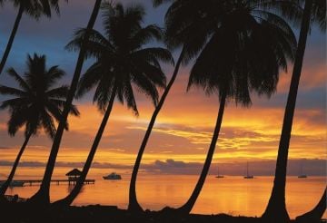 Educa Puzzle Bora Bora 1500 Parça Puzzle