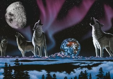 Art Puzzle Evrenin Şarkısı 1000 Parça Puzzle