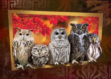 Art Puzzle Gece Avcıları 1000 Parça Puzzle