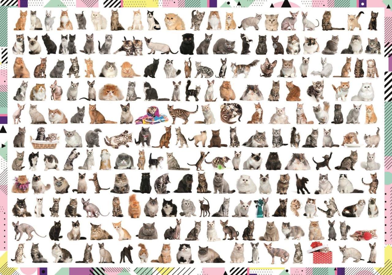 Trefl Puzzle 208 Cats 1000 Parça Puzzle