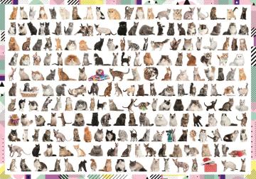Trefl Puzzle 208 Cats 1000 Parça Puzzle