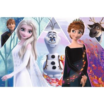Trefl Çoçuk Puzzle Enchanted Land Dısney Frozen 2 100 Parça Puzzle