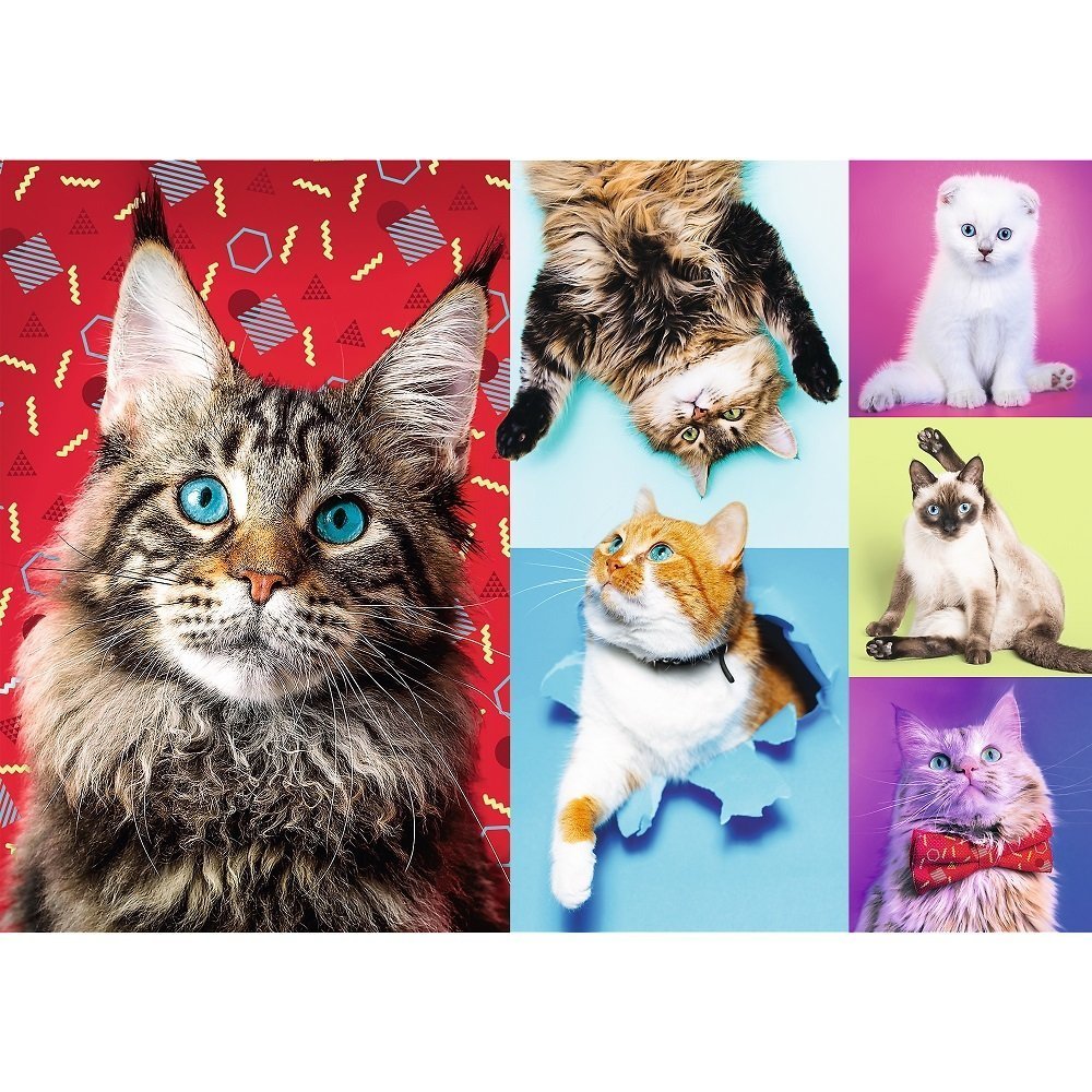 Trefl Happy Cats 1000 Parça Puzzle