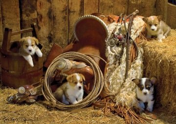 Art Puzzle Yavru Corgiler 1000 Parça Puzzle