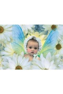 Educa Puzzle Fresh As A Daisy 1000 Parça Puzzle