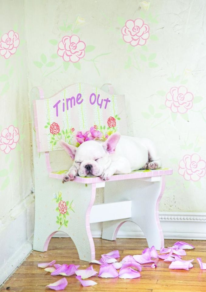 Educa Puzzle Taking Time Out 500 Parça Puzzle