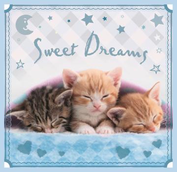 Trefl Puzzle Sweet Kittens 3'lü 20+36+50 Parça Yapboz
