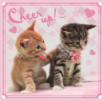 Trefl Puzzle Sweet Kittens 3'lü 20+36+50 Parça Yapboz