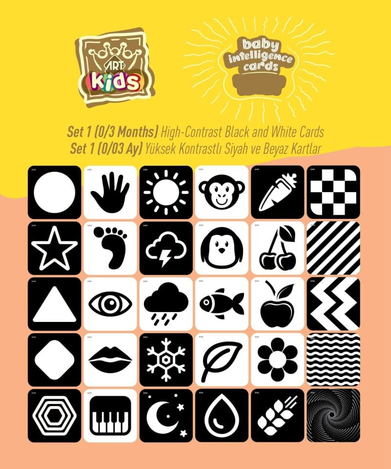 Art Kids Baby Zeka Kartları