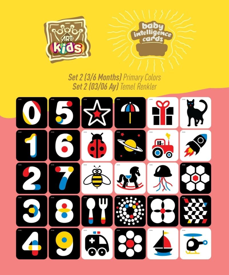 Art Kids Baby Zeka Kartları