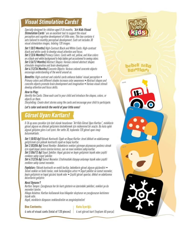 Art Kids Baby Zeka Kartları