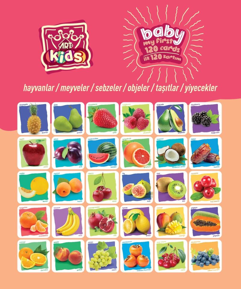 Art Kids Baby İlk Eğitici Kartlarım