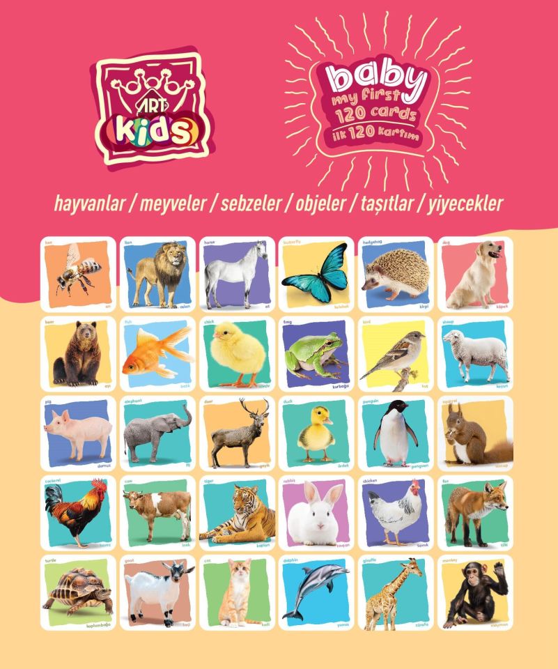 Art Kids Baby İlk Eğitici Kartlarım