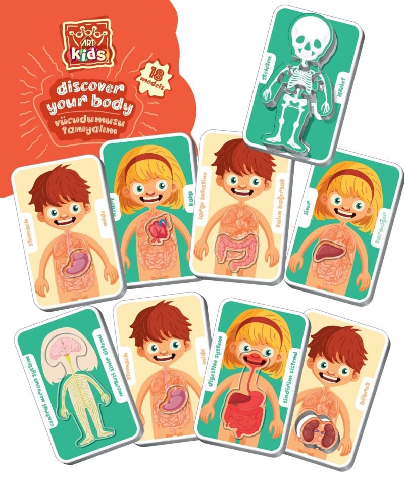 Art Kids Vücudumuzu Tanıyalım Doktor Setli Puzzle